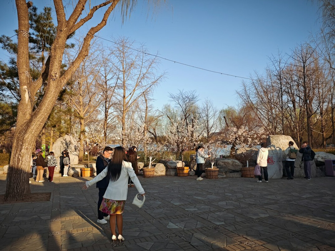 people in park talking